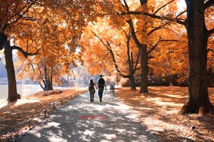 德天瀑布最佳旅游季節(jié)是什么時(shí)候？